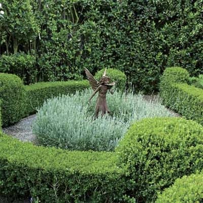 A fountain surrounded by sheared shrubs