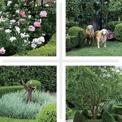 Four images of Sheared Shrubs