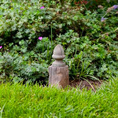 17_garden_question