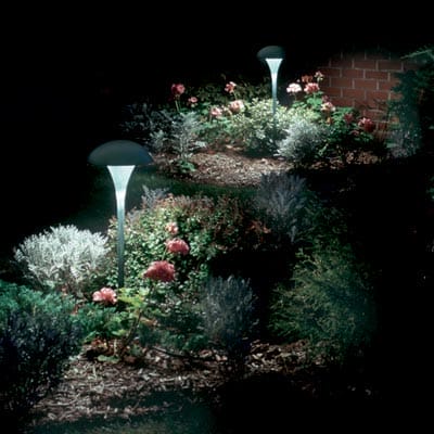 Garden lights lighting up flowers in a garden.
