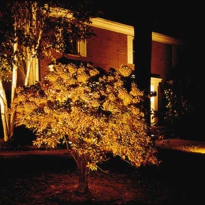 A house will lights illuminating landscaping features.
