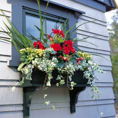 A full planter box
