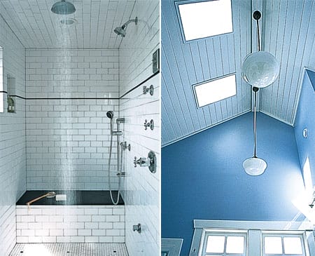 Spacious bathroom with raised roof, skylights, and window in shower.