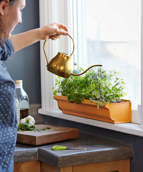 watering plants in a windowsill planter made from a gutter