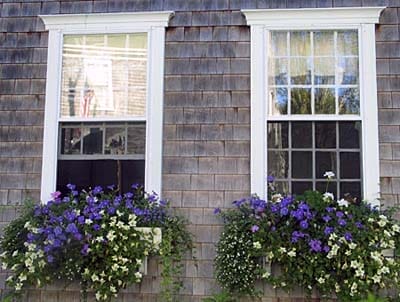 A pair of window boxed with flowers planted in them.