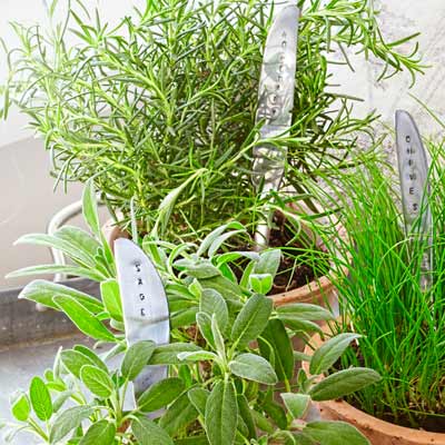 Plant markers made from upcycled knives.