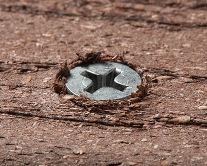 Close-up on a screw in a deck.