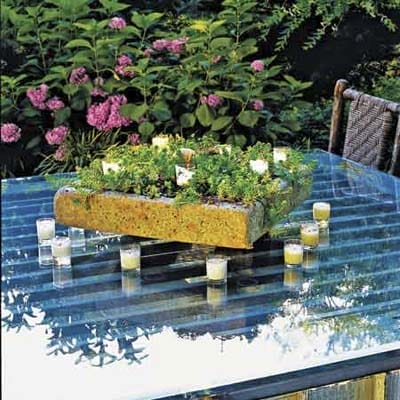 A table with a potted plant as a centerpiece.