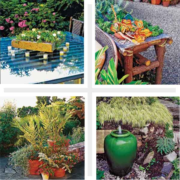 Four images of different plants and pots.