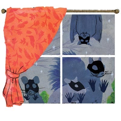 A graphic of racoons trying to get into a window