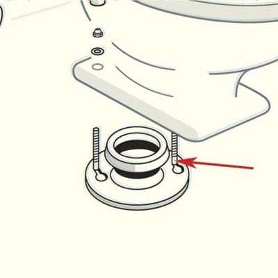 A toilet's closet bolt.