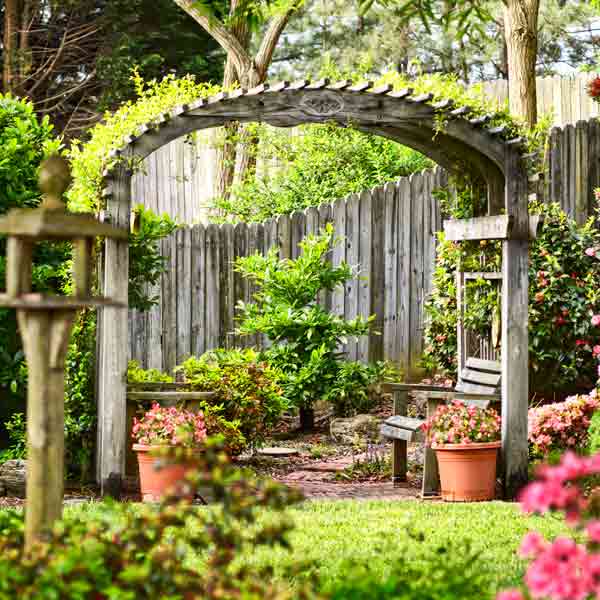 A garden arbor