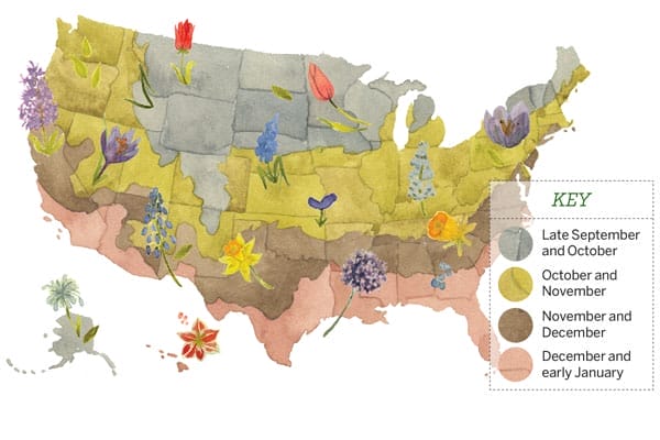 Diagram of location of different flowers and when they grow
