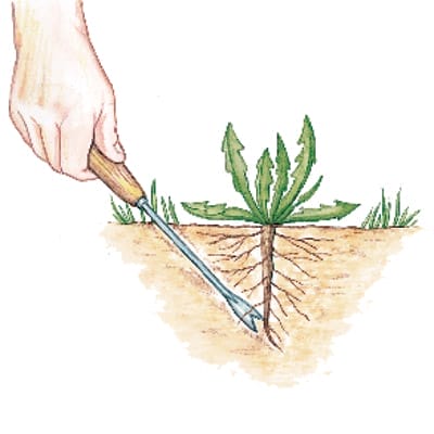 Pulling weeds graphic