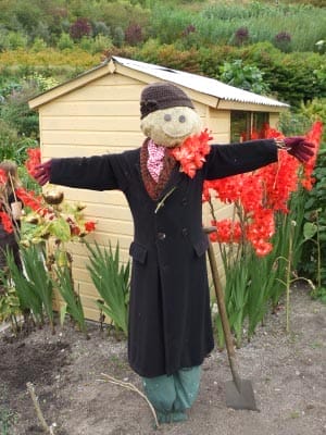 Scarecrow Halloween decoration.