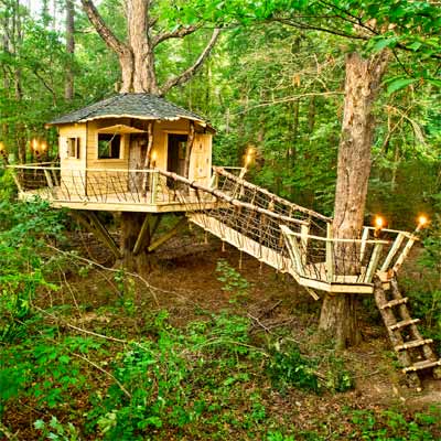 A two-level tree house