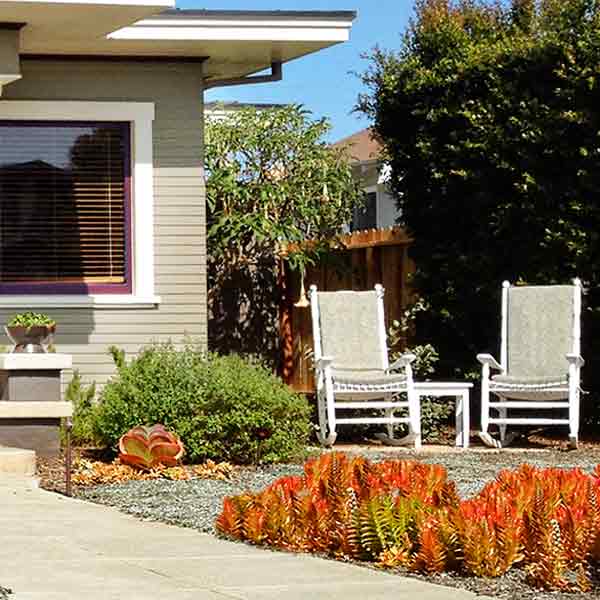 Two outdoor chairs among drought-resistant landscaping.
