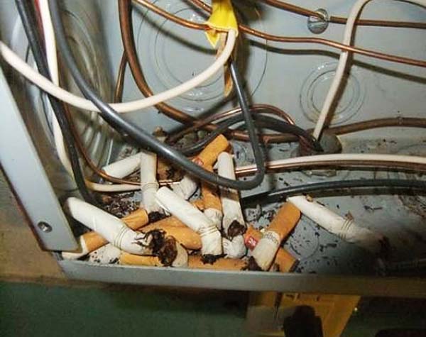 Cigarette butts hidden inside electrical panel creating fire hazard.