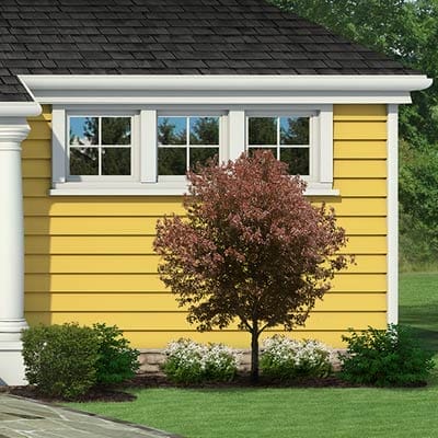 Modified windows without shutters.