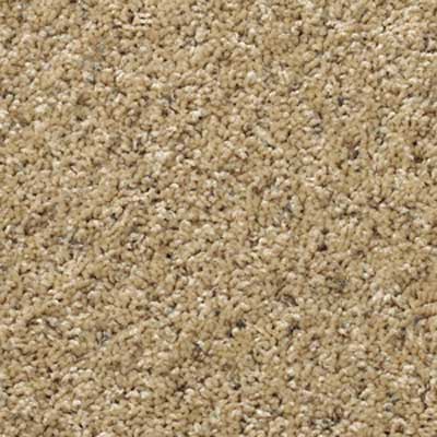 an up close view of a cut pile style of carpet