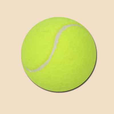 06_plaster_cast