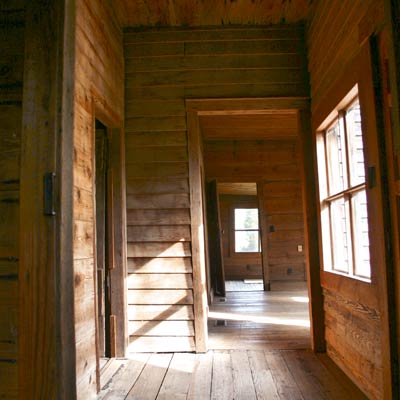 A view of the house and pine walls