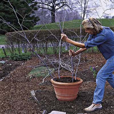 Women adding supports into a pot
