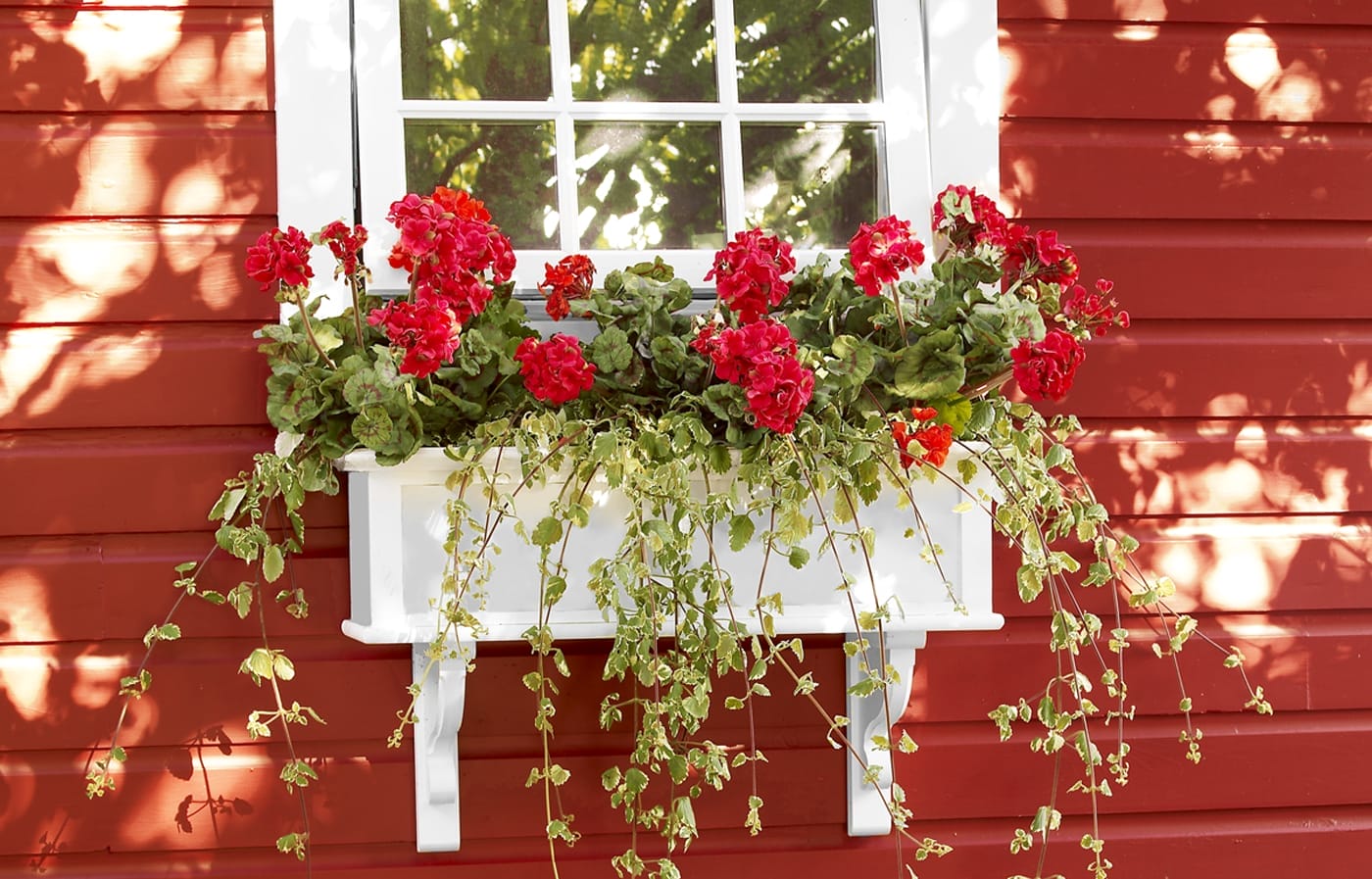 PVC window box holding red flowers and hanging below the window of a house with red siding.