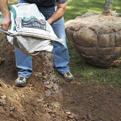Pouring starter fertilizer into the soil.