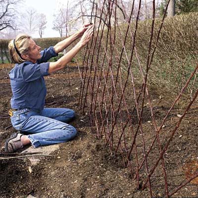 Woman building a diamond-patterned twig trellis
