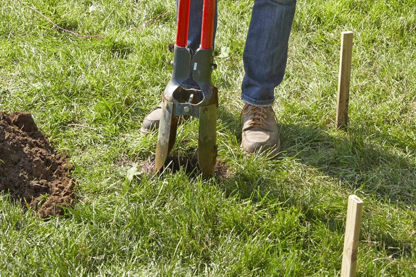 A person digging postholes for a garden fence.