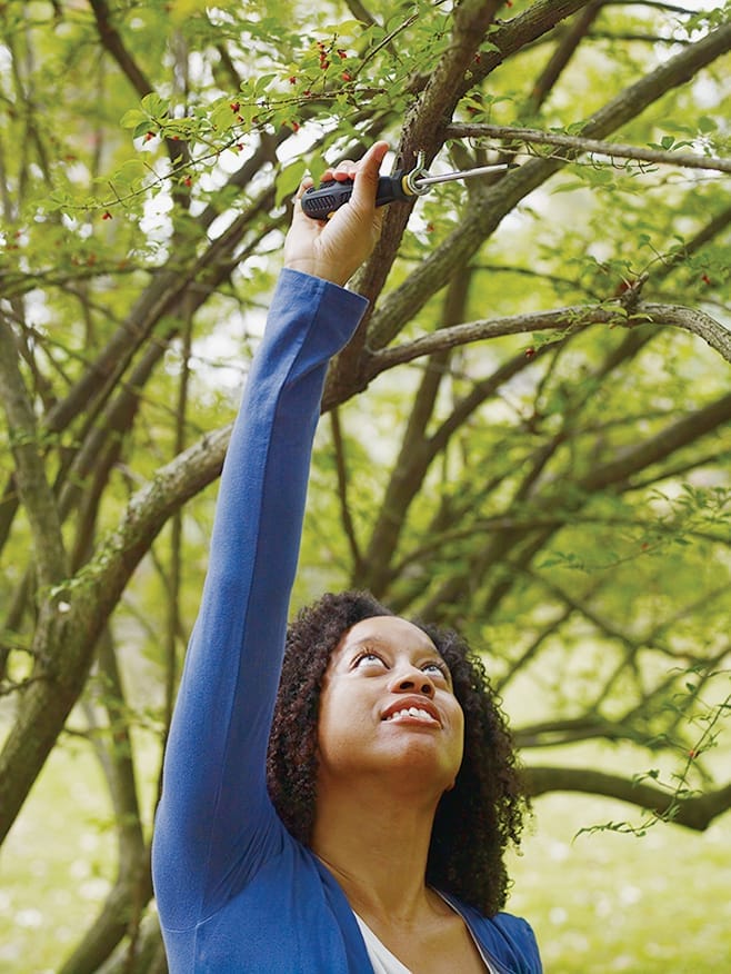 A woman affixing a hook to a tree branch for a bird feeder.