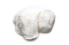 Cheesecloth