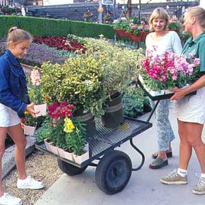 Women shopping in a plant nursery.