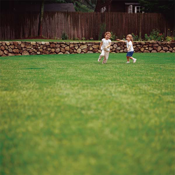 A well cared for lawn with children playing on it.