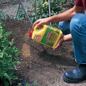 adding preemergent herbicide to the ground to prevent weeds