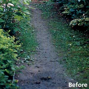 Before photo of a path through a garden that could be a potential location for a stone path.