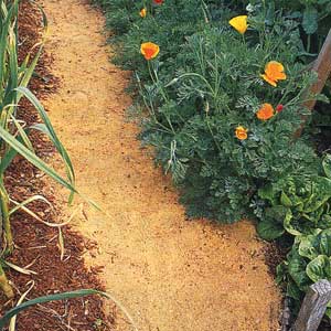 A path made of sawdust runs between mulched gardens.