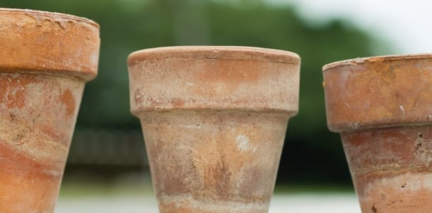 a finished terra-cotta pot with an aged look