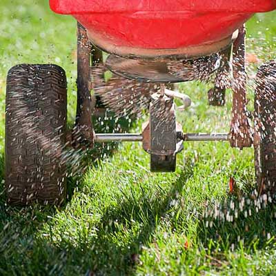 Spreader tool spreading grass seed.