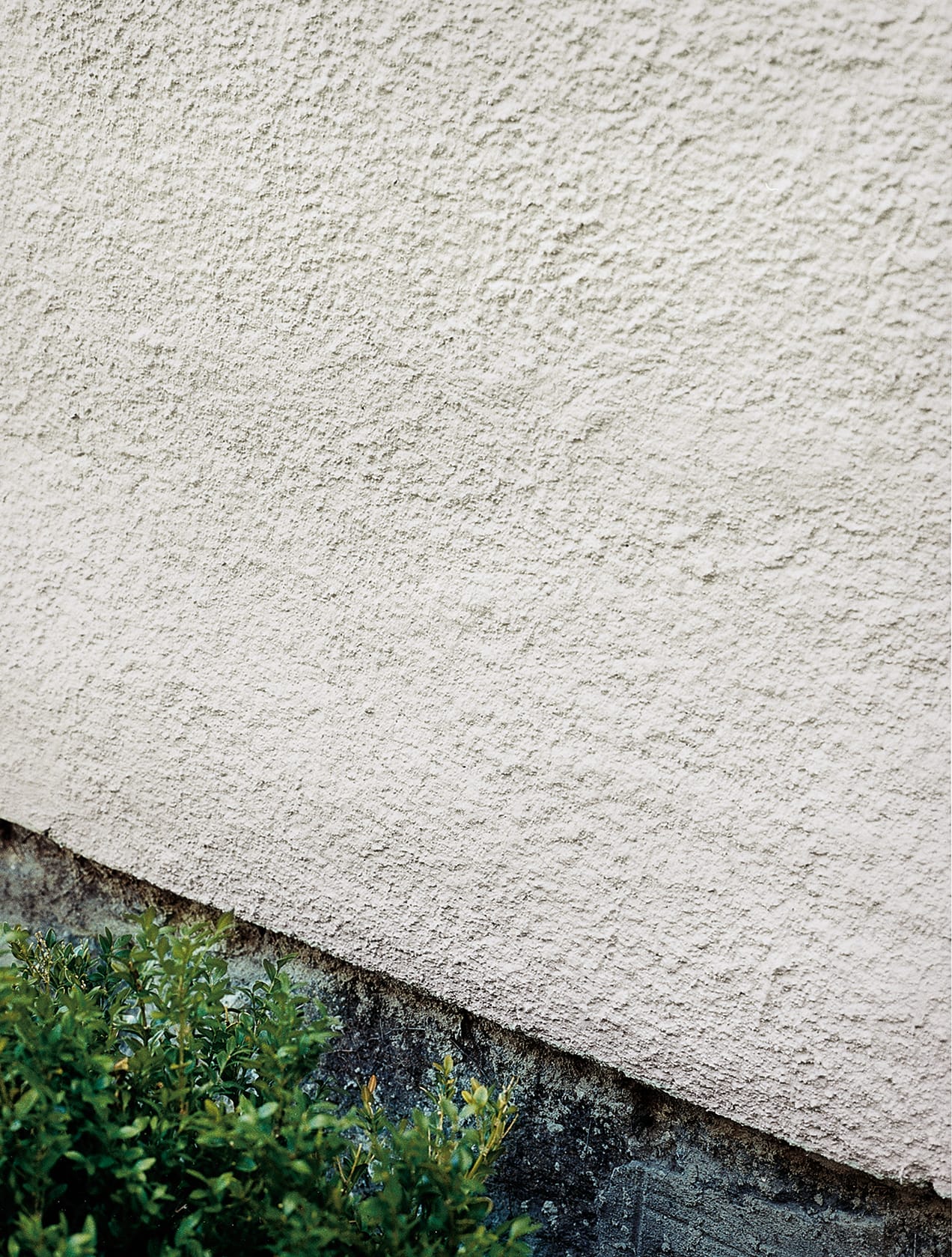 New stucco curing before being painted.