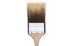 Paintbrush