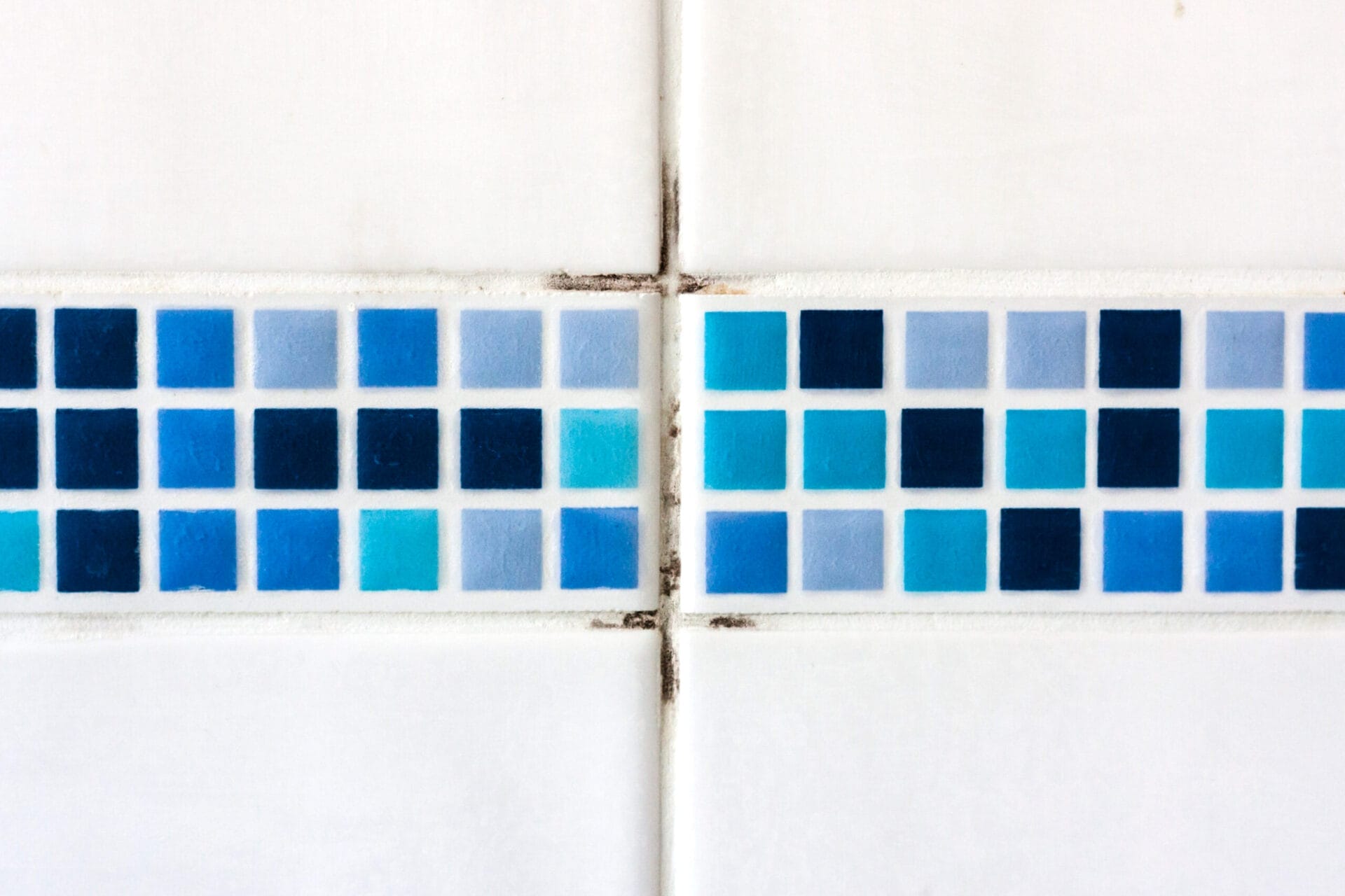 How To Prevent Bathroom Mold