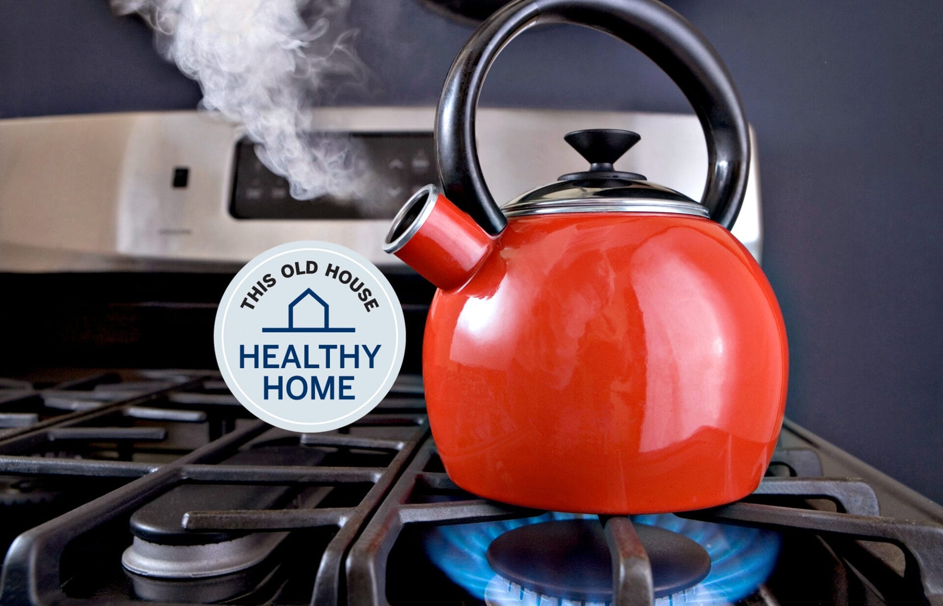 lead_healthy_home