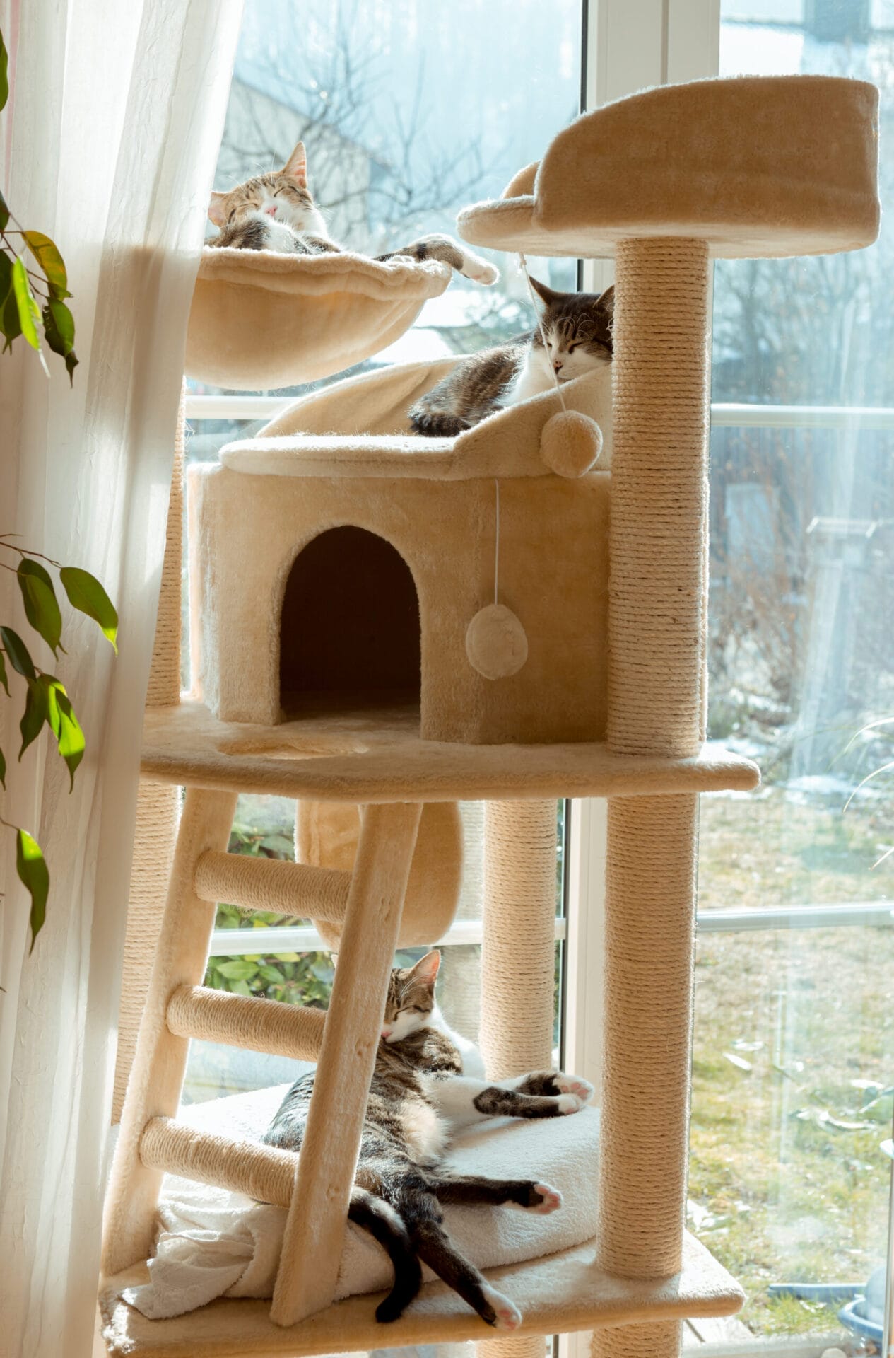 A beige cat tower with several cats lounging on it.