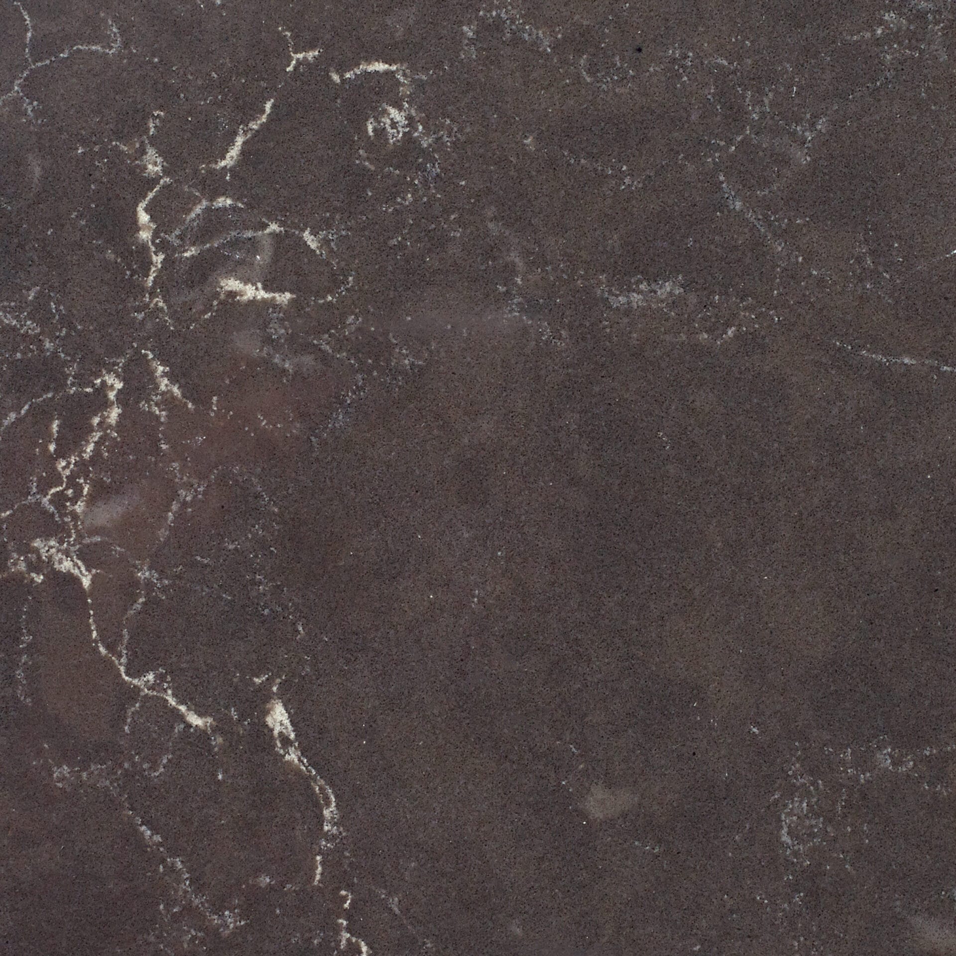 Warm gray quartz featuring subtle cream veining and natural appearance.