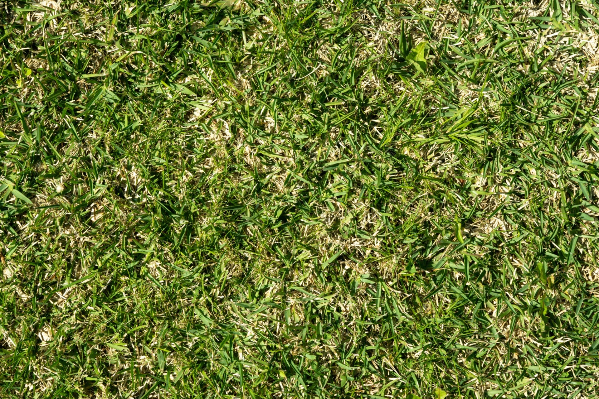 AdobeStock_264264652.0