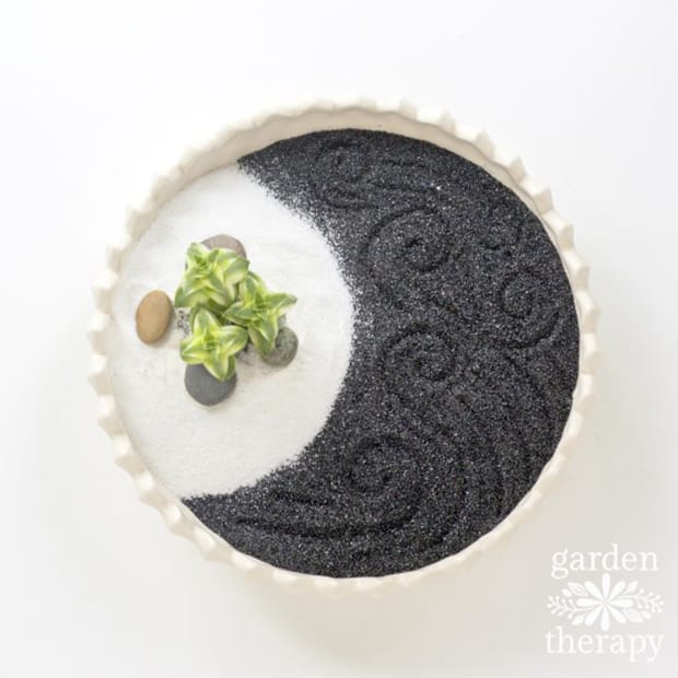 A succulent zen garden.