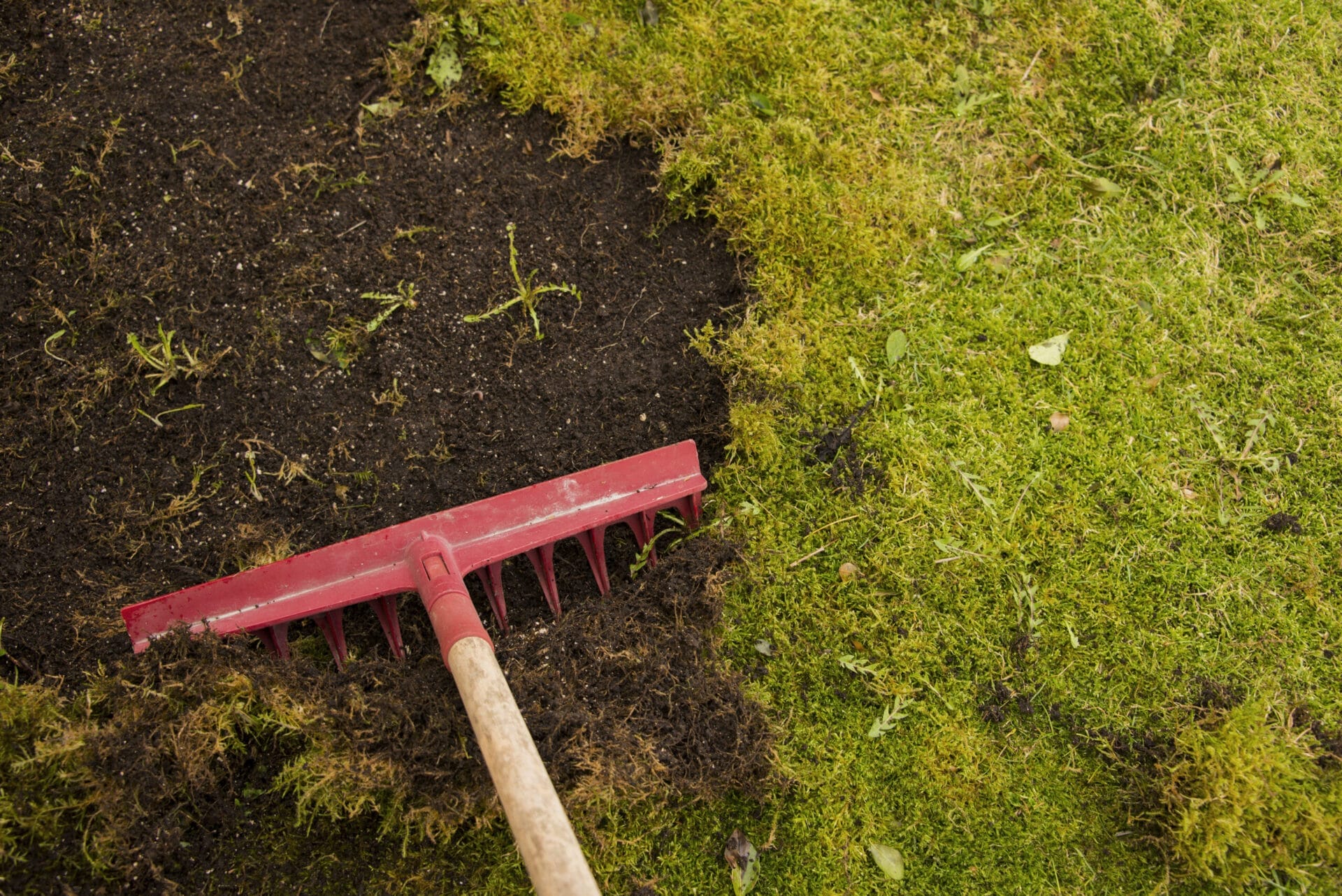 AdobeStock_62450655.0