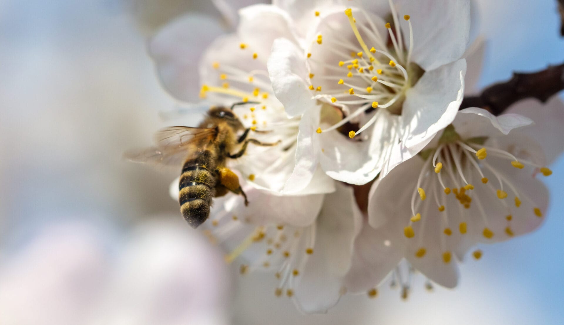 AdobeStock_321224687.0